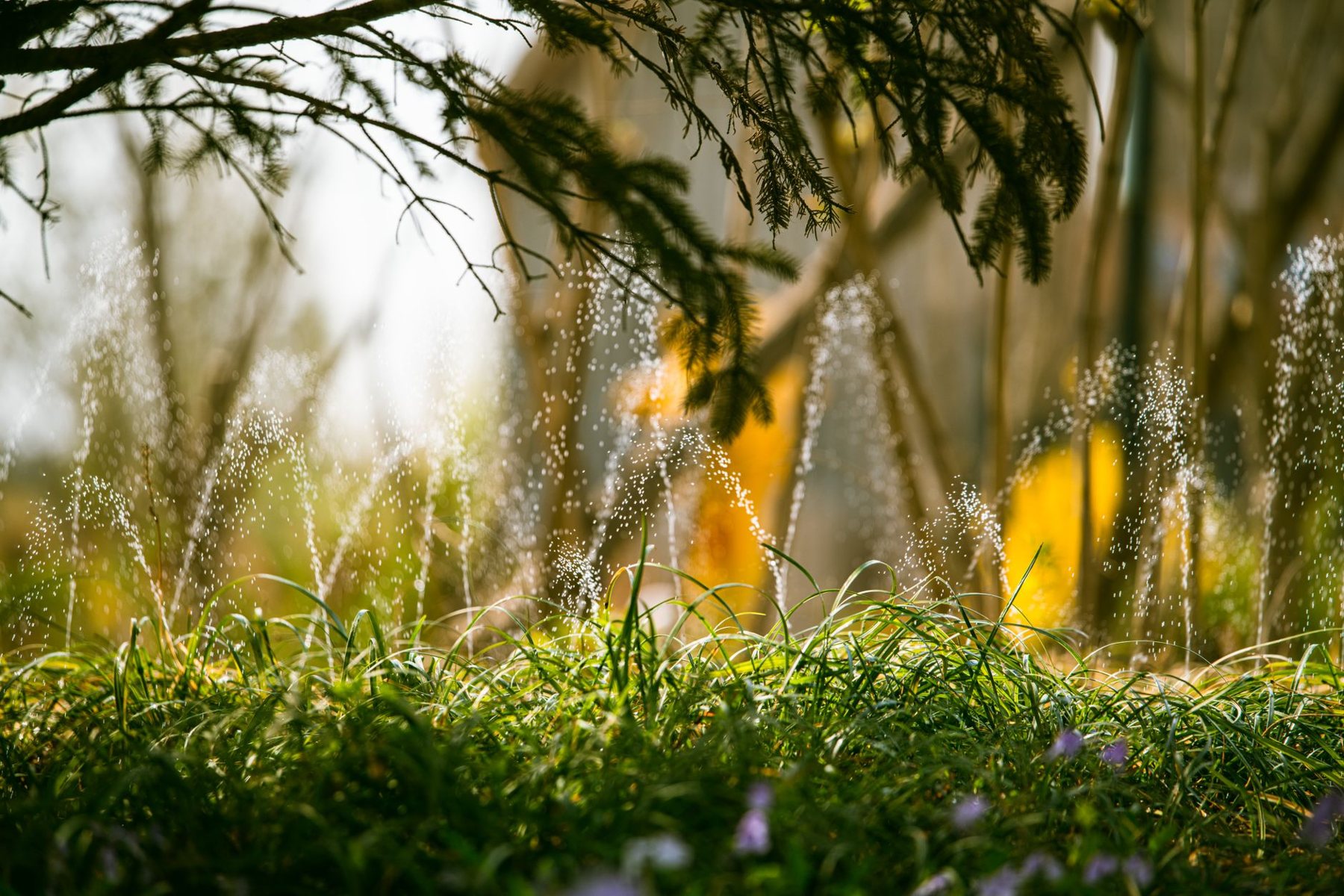 Irrigation & Drip Systems in Cave Creek AZ