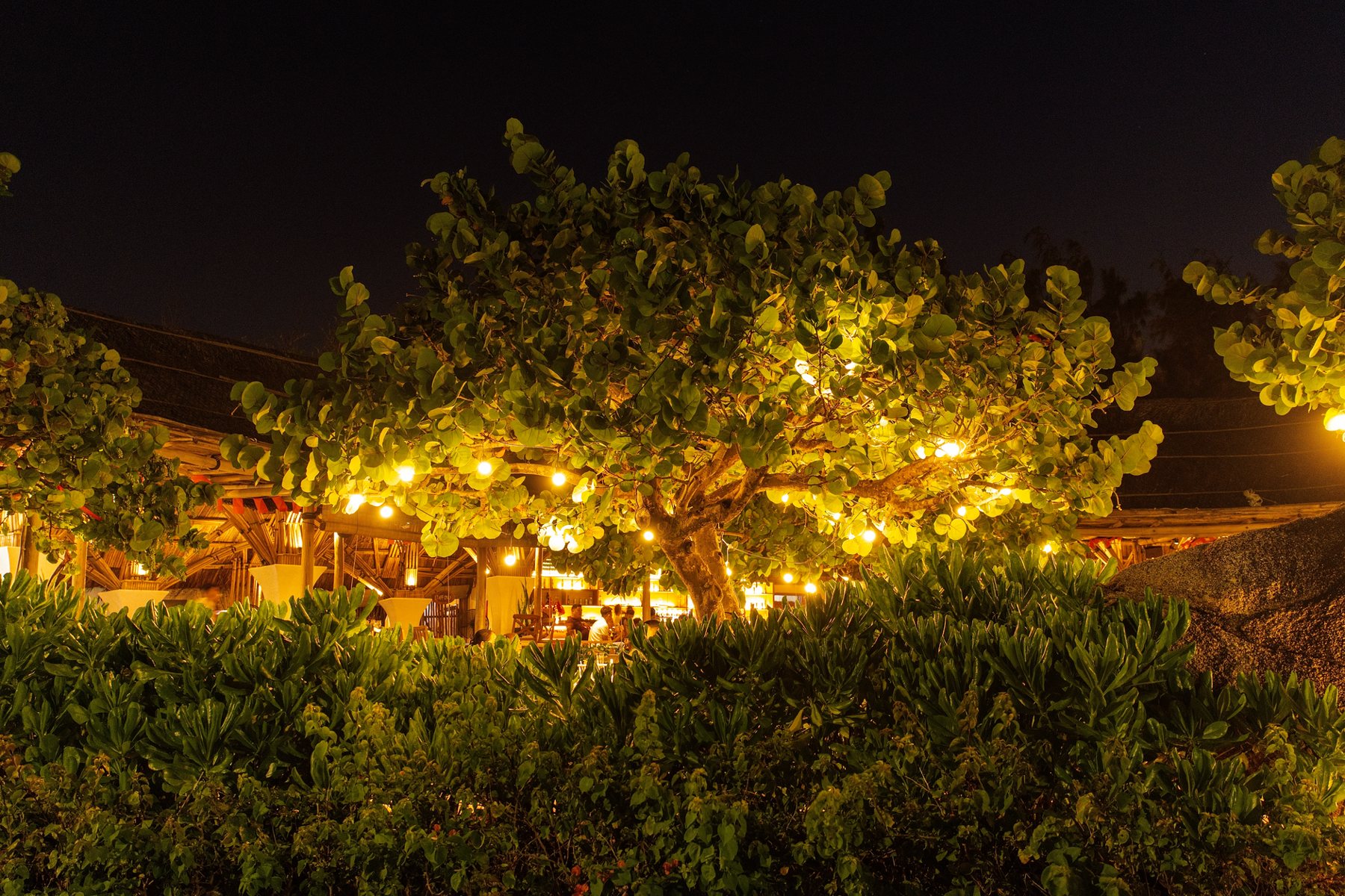 Landscape Lighting in Cave Creek AZ