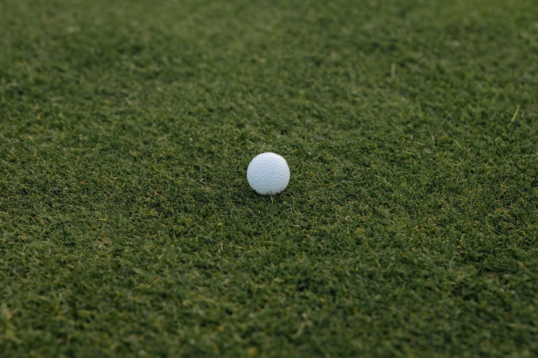 Synthetic Putting Greens in Cave Creek AZ