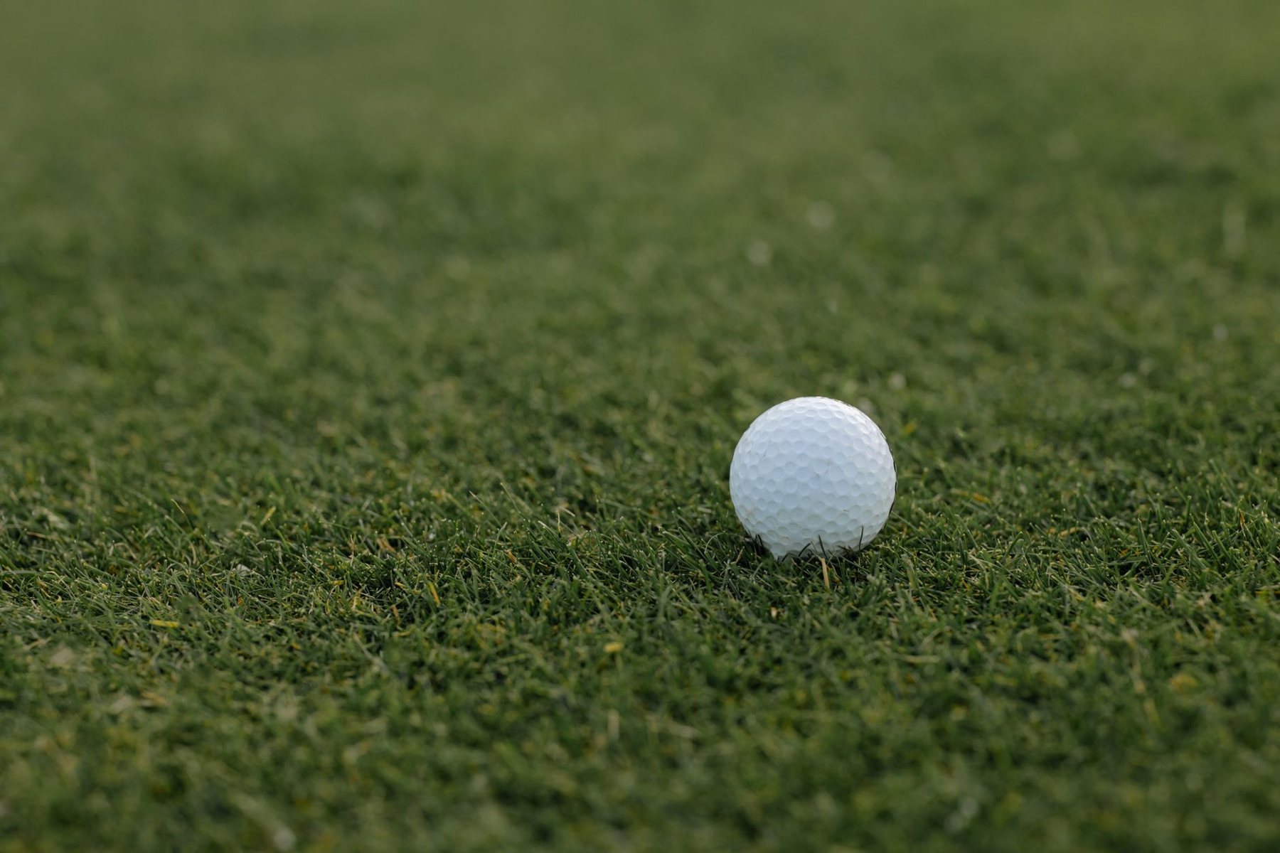 Artificial turf installation in Cave Creek, AZ